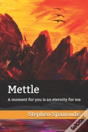 Capa do artigo Mettle