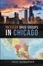 Mexican Drug Groups In Chicago - Preview