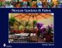 Mexican Gardens & Patios - Preview