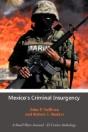 Mexico'S Criminal Insurgency - Preview