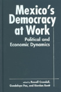 Mexico'S Democracy At Work - Preview