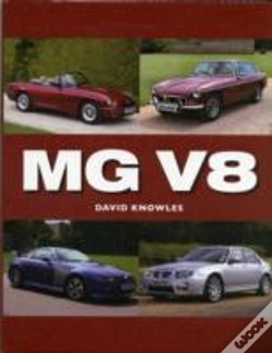 Capa do artigo Mg V8