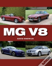 Capa do artigo Mg V8