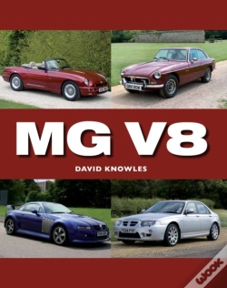 Capa do artigo Mg V8