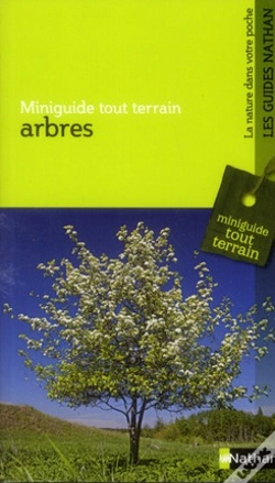Capa do artigo Mgtt Arbres