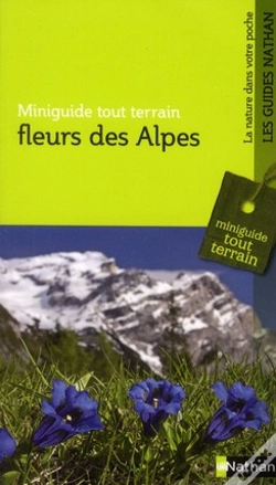 Capa do artigo Mgtt Fleurs Des Alpes