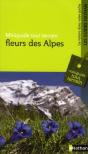 Mgtt Fleurs Des Alpes - Preview