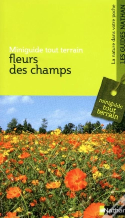 Capa do artigo Mgtt Fleurs Des Champs
