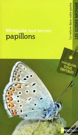 Capa do artigo Mgtt Les Papillons