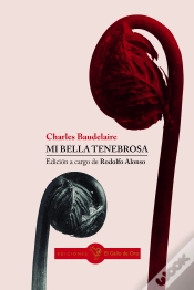 Capa do artigo Mi Bella Tenebrosa