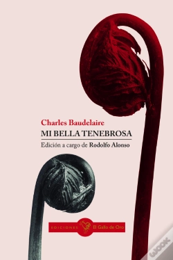 Capa do artigo Mi Bella Tenebrosa