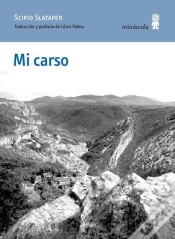 Capa do artigo Mi Carso