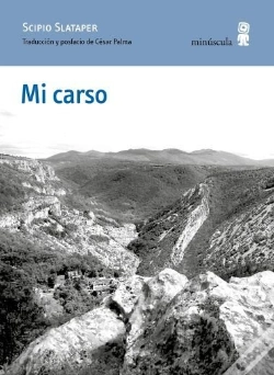 Capa do artigo Mi Carso