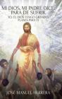 Mi Dios, Mi Padre Dice - Preview