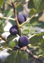 Mi-Fugue Mi-Raison - Preview