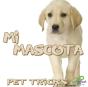 Mi Mascota - Preview