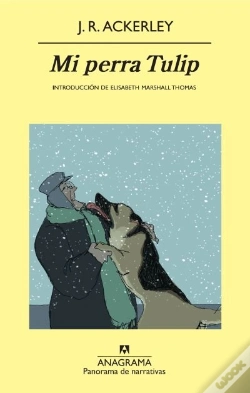 Capa do artigo Mi Perra Tulip
