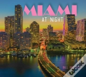 Capa do artigo Miami At Night