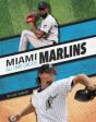 Miami Marlins All-Time Greats - Preview