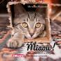 Miaou! 100 Chats Doux Et Dingues - Preview