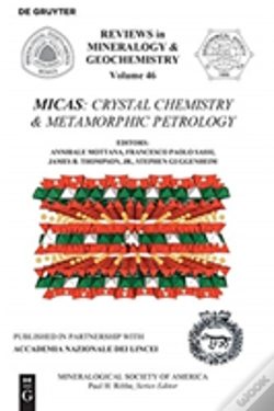 Capa do artigo Micas