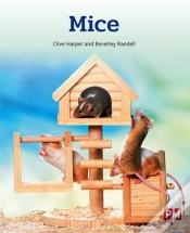 Capa do artigo Mice