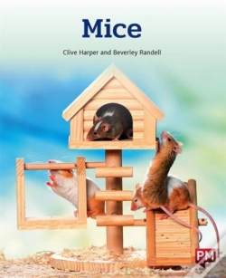 Capa do artigo Mice