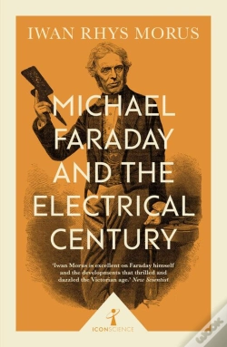 Capa do artigo Michael Faraday And The Electrical Century (Icon Science)