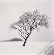 Capa do artigo Michael Kenna 2023 Calendar /Anglais