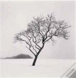 Capa do artigo Michael Kenna 2023 Calendar /Anglais