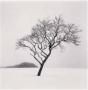 Michael Kenna 2023 Calendar /Anglais - Preview