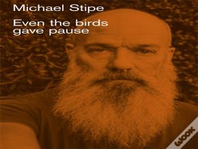 Michael Stipe: Even The Birds Gave Pause