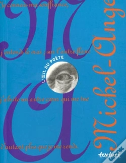 Capa do artigo Michel-Ange