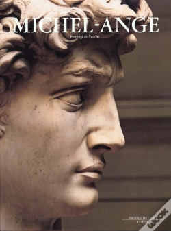 Capa do artigo Michel-Ange