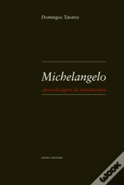 Capa do artigo Michelangelo