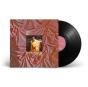 Michelangelo Dying - Vinil - Preview