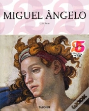 Capa do artigo Michelangelo