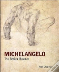 Capa do artigo Michelangelo