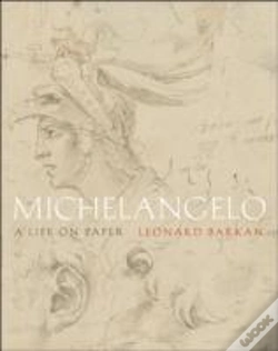 Capa do artigo Michelangelo