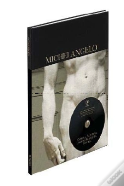 Capa do artigo Michelangelo