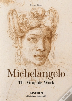 Capa do artigo Michelangelo