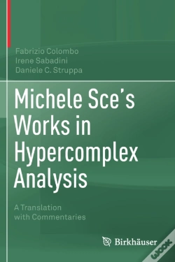 Capa do artigo Michele Sce'S Works In Hypercomplex Analysis
