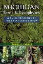 Michigan Ferns And Lycophytes - Preview