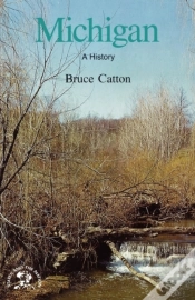 Capa do artigo Michigan