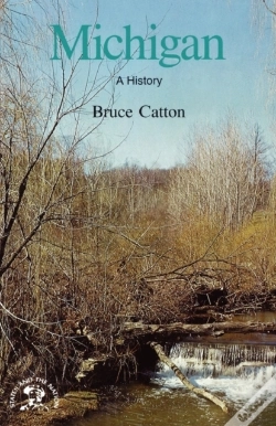 Capa do artigo Michigan