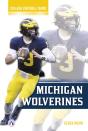 Michigan Wolverines - Preview