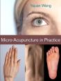 Micro-Acupuncture In Practice - Preview