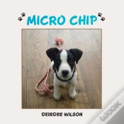 Capa do artigo Micro Chip