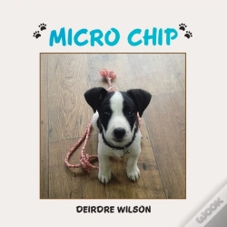 Capa do artigo Micro Chip