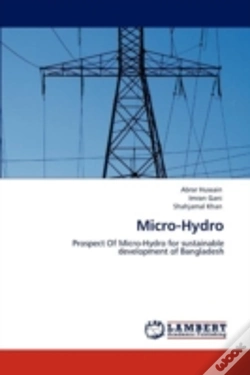 Capa do artigo Micro-Hydro